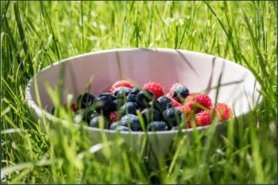 Mixed Berries